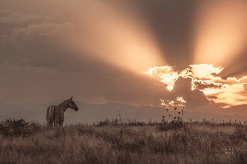 Faded Sunset by Nathan Larson. SKU 87943i. Archival Giclee Fine art print for wall decor.