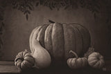 Fall Harvest Sepia I by Nathan Larson. SKU 102569i. Archival Giclee Fine art print for wall decor.