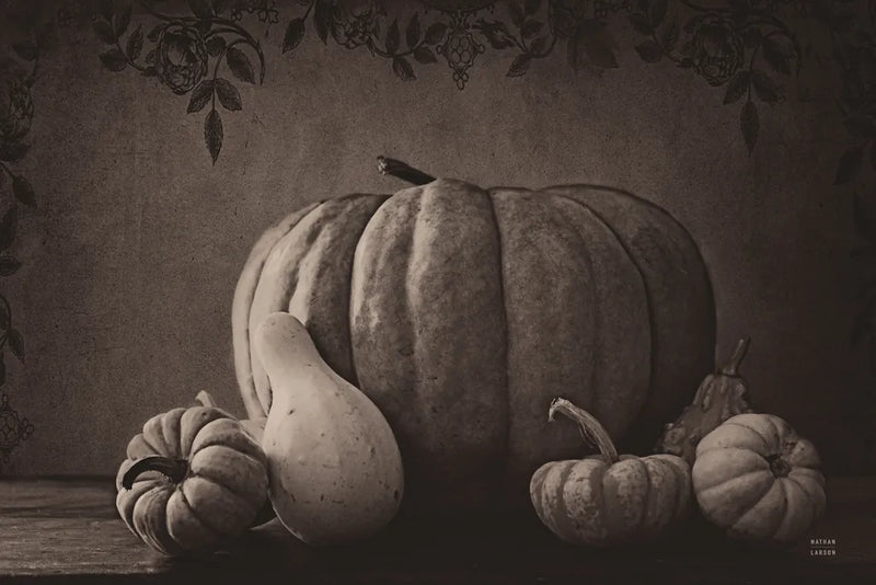 Fall Harvest Sepia I by Nathan Larson. SKU 102569i. Archival Giclee Fine art print for wall decor.