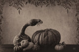 Fall Harvest Sepia II by Nathan Larson. SKU 102570i. Archival Giclee Fine art print for wall decor.