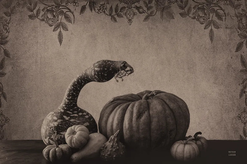 Fall Harvest Sepia II by Nathan Larson. SKU 102570i. Archival Giclee Fine art print for wall decor.
