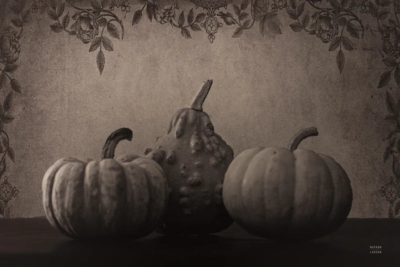 Fall Harvest Sepia III by Nathan Larson. SKU 102571i. Archival Giclee Fine art print for wall decor.