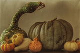 Fall Harvest V by Nathan Larson. SKU 102573i. Archival Giclee Fine art print for wall decor.