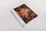 Fall Rains I by Nathan Larson. shown as a rolled paper print. Available as archival giclee rolled canvas, fine art paper, or poster print. SKU 82630i.