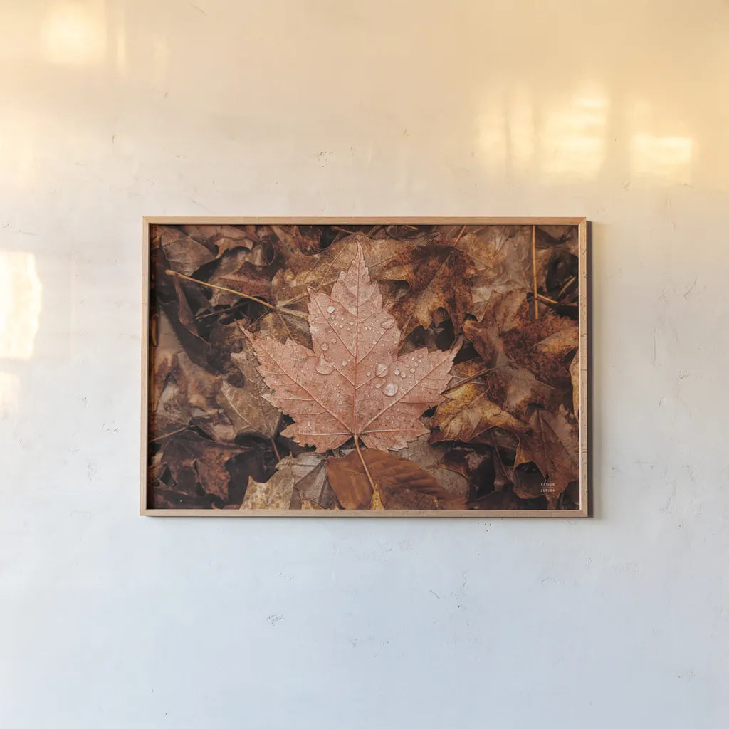 Fall Rains I by Nathan Larson. shown as a paper print in a natural frame. Available as a archival giclee rolled canvas, fine art paper, or poster print. SKU 82630i.