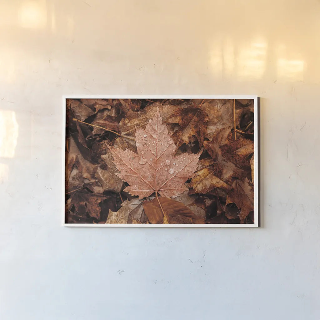 Fall Rains I by Nathan Larson. shown as a paper print in a white frame. Available as a archival giclee rolled canvas, fine art paper, or poster print. SKU 82630i.