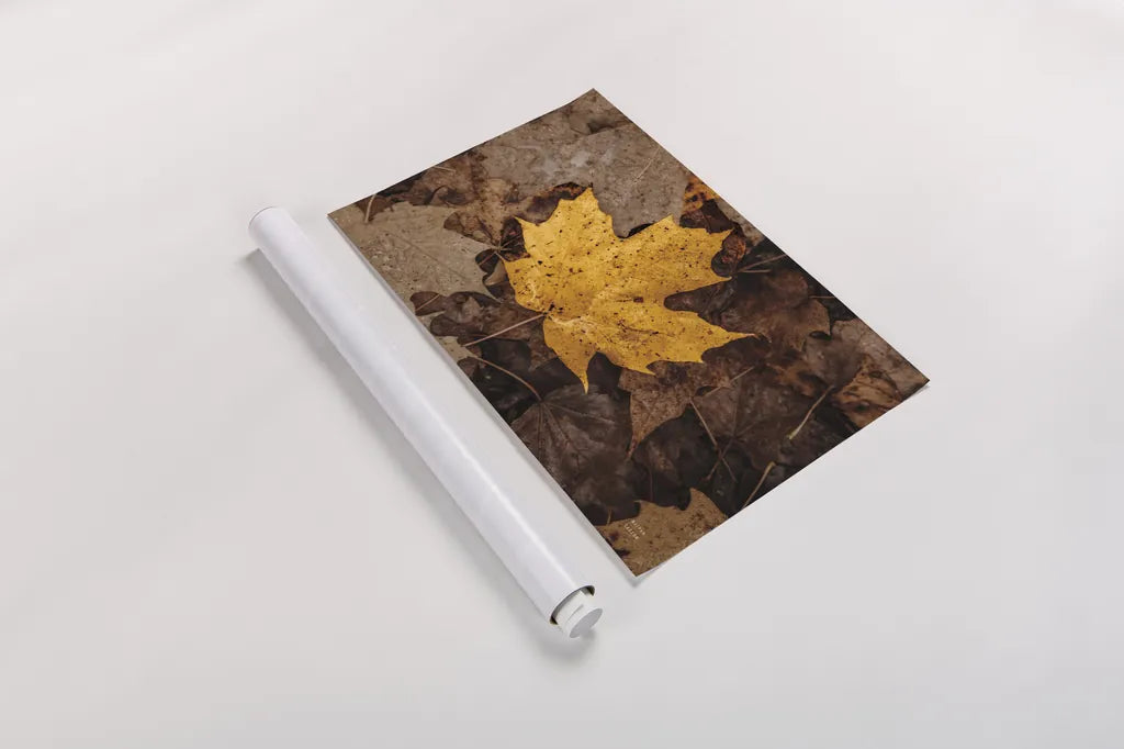 Fall Rains II by Nathan Larson. shown as a rolled paper print. Available as archival giclee rolled canvas, fine art paper, or poster print. SKU 82631i.
