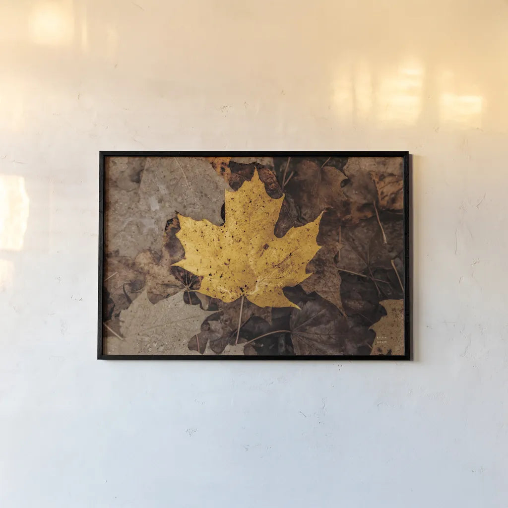 Fall Rains II by Nathan Larson. shown as a paper print in a black flame. Available as a archival giclee rolled canvas, fine art paper, or poster print. SKU 82631i.