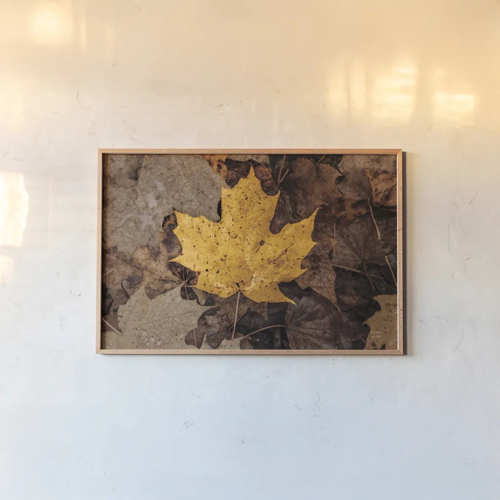 Fall Rains II by Nathan Larson. shown as a paper print in a natural frame. Available as a archival giclee rolled canvas, fine art paper, or poster print. SKU 82631i.