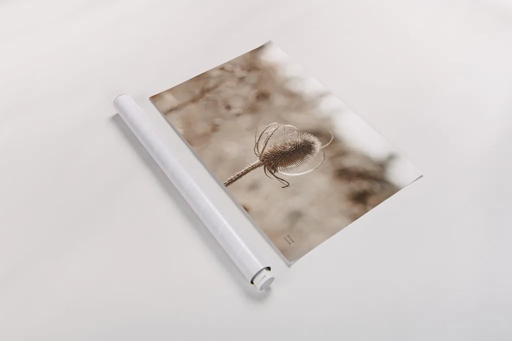 Fall Turns by Nathan Larson. shown as a rolled paper print. Available as archival giclee rolled canvas, fine art paper, or poster print. SKU 82632i.