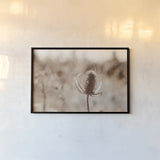 Fall Turns by Nathan Larson. shown as a paper print in a black flame. Available as a archival giclee rolled canvas, fine art paper, or poster print. SKU 82632i.