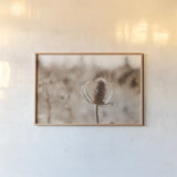Fall Turns by Nathan Larson. shown as a paper print in a natural frame. Available as a archival giclee rolled canvas, fine art paper, or poster print. SKU 82632i.