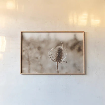 Fall Turns by Nathan Larson. shown as a paper print in a natural frame. Available as a archival giclee rolled canvas, fine art paper, or poster print. SKU 82632i.