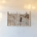 Fall Turns by Nathan Larson. shown as a paper print in a white frame. Available as a archival giclee rolled canvas, fine art paper, or poster print. SKU 82632i.