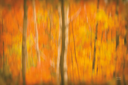 Fall in Motion by Nathan Larson. SKU 101670i. Archival Giclee Fine art print for wall decor.