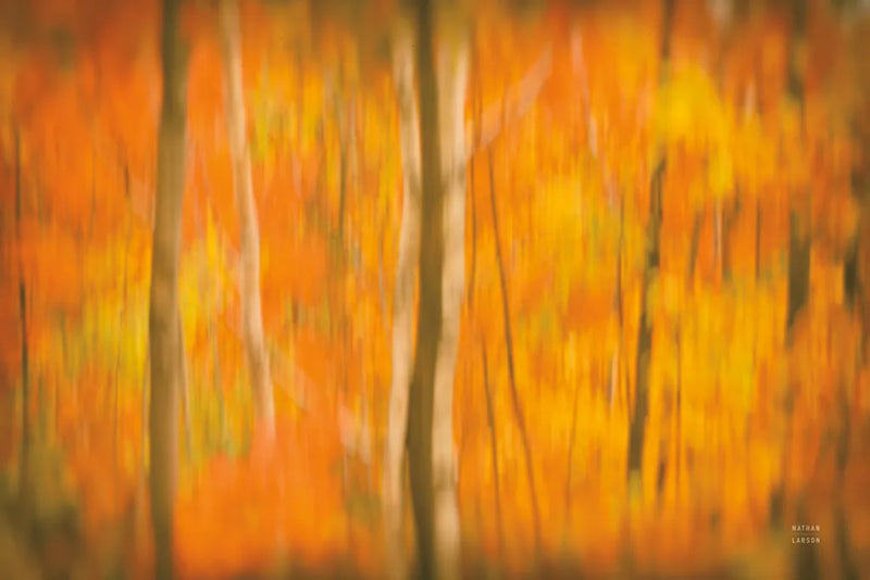 Fall in Motion by Nathan Larson. SKU 101670i. Archival Giclee Fine art print for wall decor.