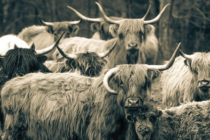 Family Portrait by Nathan Larson. SKU 96202i. Archival Giclee Fine art print for wall decor.