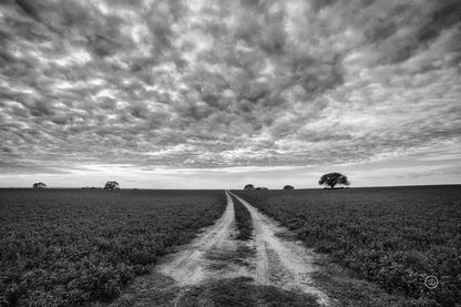 Farm Road by Nathan Larson. SKU 73694i. Archival Giclee Fine art print for wall decor.