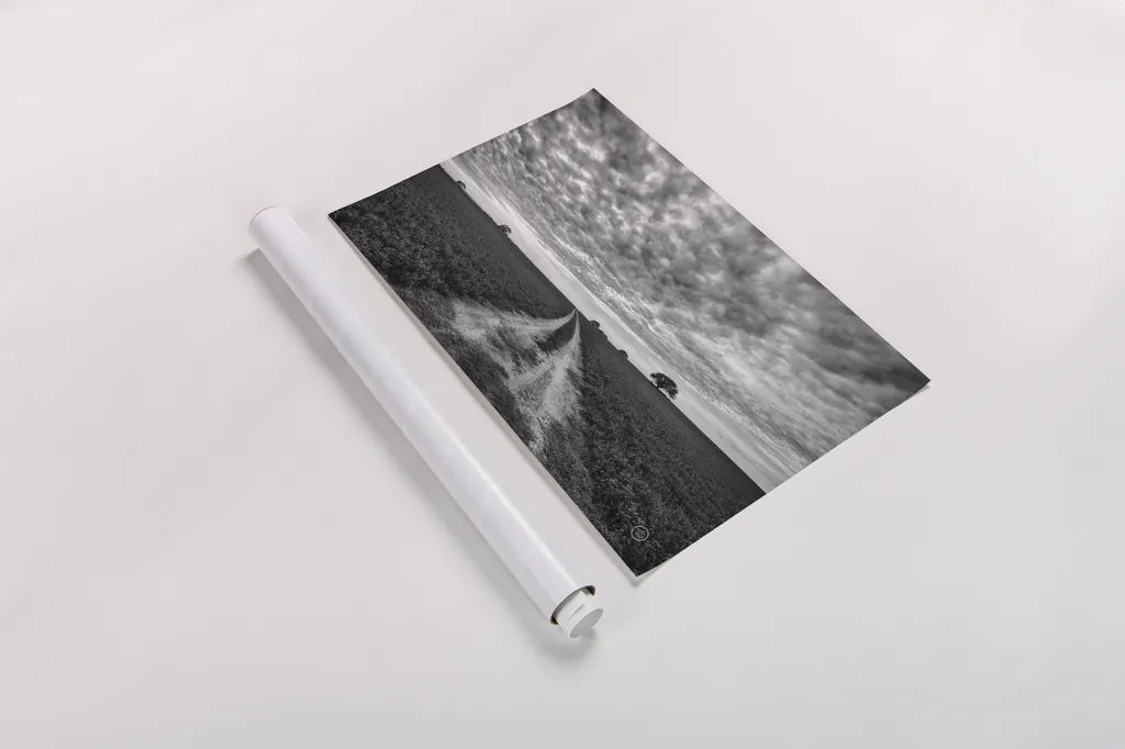 Farm Road by Nathan Larson. shown as a rolled paper print. Available as archival giclee rolled canvas, fine art paper, or poster print. SKU 73694i.