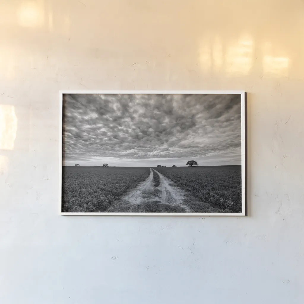 Farm Road by Nathan Larson. shown as a paper print in a white frame. Available as a archival giclee rolled canvas, fine art paper, or poster print. SKU 73694i.
