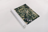 Field Friends Fade by Nathan Larson. shown as a rolled paper print. Available as archival giclee rolled canvas, fine art paper, or poster print. SKU 71624i.