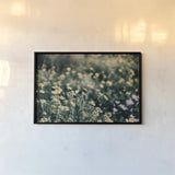 Field Friends Fade by Nathan Larson. shown as a paper print in a black flame. Available as a archival giclee rolled canvas, fine art paper, or poster print. SKU 71624i.