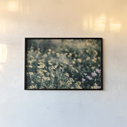 Field Friends Fade by Nathan Larson. shown as a paper print in a black flame. Available as a archival giclee rolled canvas, fine art paper, or poster print. SKU 71624i.