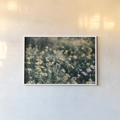 Field Friends Fade by Nathan Larson. shown as a paper print in a white frame. Available as a archival giclee rolled canvas, fine art paper, or poster print. SKU 71624i.