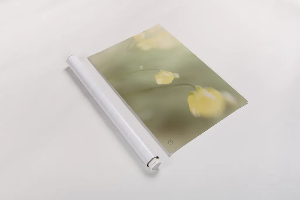 Field Trip by Nathan Larson. shown as a rolled paper print. Available as archival giclee rolled canvas, fine art paper, or poster print. SKU 71626i.