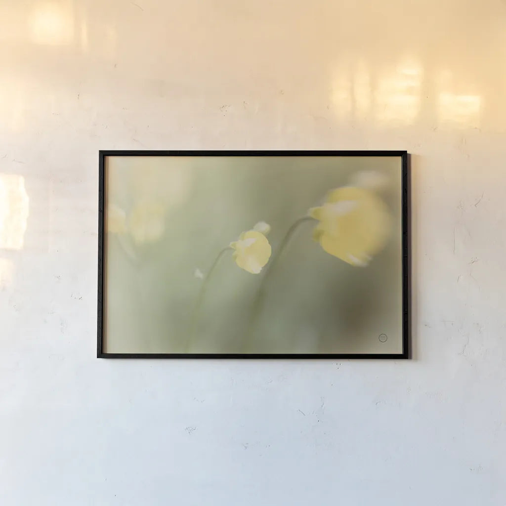 Field Trip by Nathan Larson. shown as a paper print in a black flame. Available as a archival giclee rolled canvas, fine art paper, or poster print. SKU 71626i.