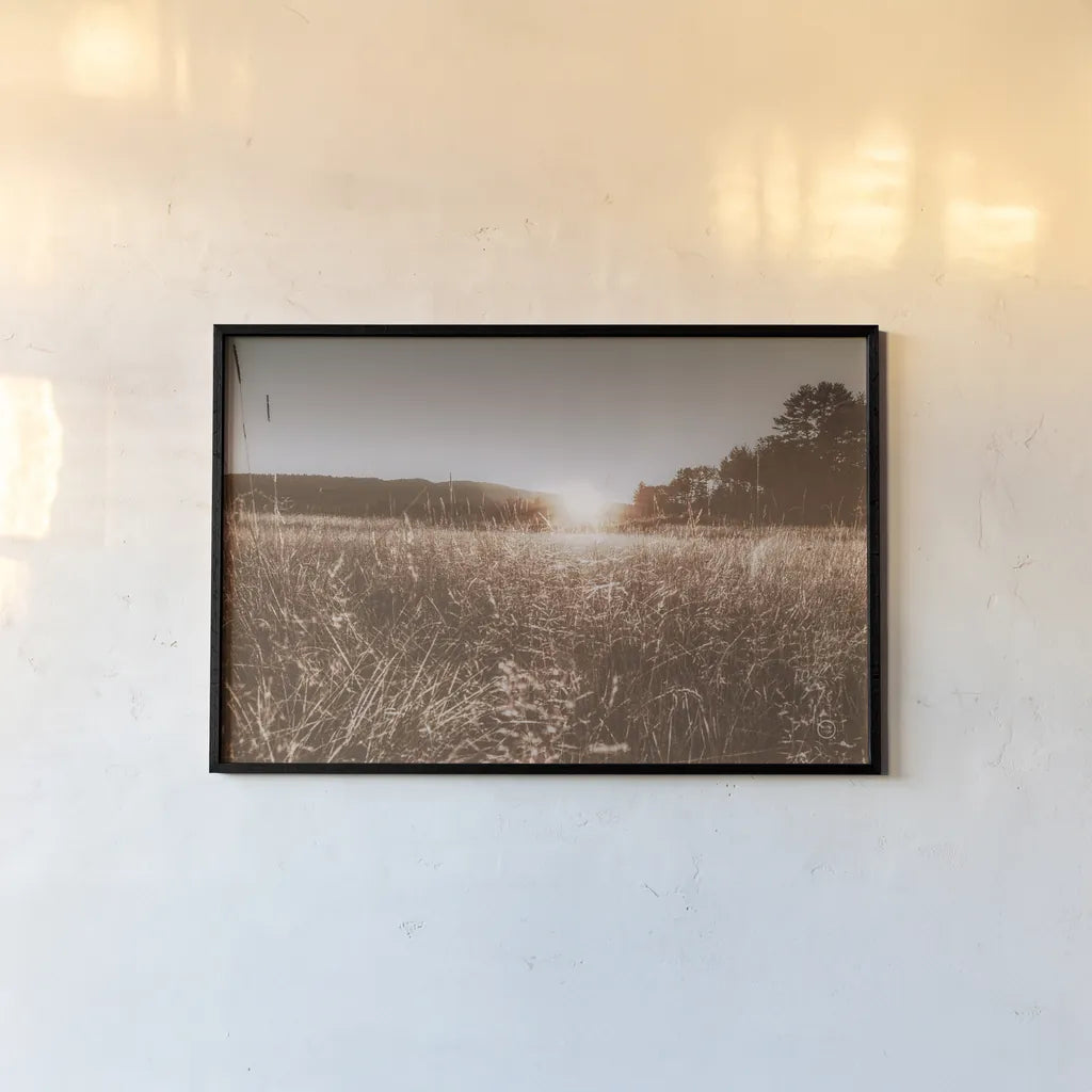 Fields of Gold by Nathan Larson. shown as a paper print in a black flame. Available as a archival giclee rolled canvas, fine art paper, or poster print. SKU 71623i.