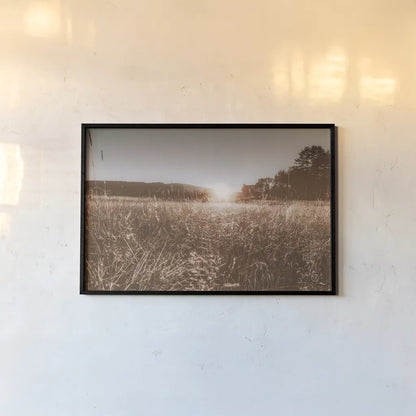 Fields of Gold by Nathan Larson. shown as a paper print in a black flame. Available as a archival giclee rolled canvas, fine art paper, or poster print. SKU 71623i.