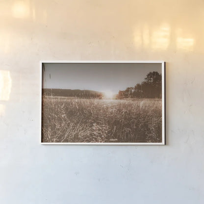 Fields of Gold by Nathan Larson. shown as a paper print in a white frame. Available as a archival giclee rolled canvas, fine art paper, or poster print. SKU 71623i.