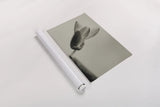 First Bloom by Nathan Larson. shown as a rolled paper print. Available as archival giclee rolled canvas, fine art paper, or poster print. SKU 104000i.
