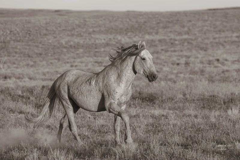 First Out Open Range Sepia by Nathan Larson