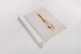 Floating Feathers I by Nathan Larson. shown as a rolled paper print. Available as archival giclee rolled canvas, fine art paper, or poster print. SKU 71168h.