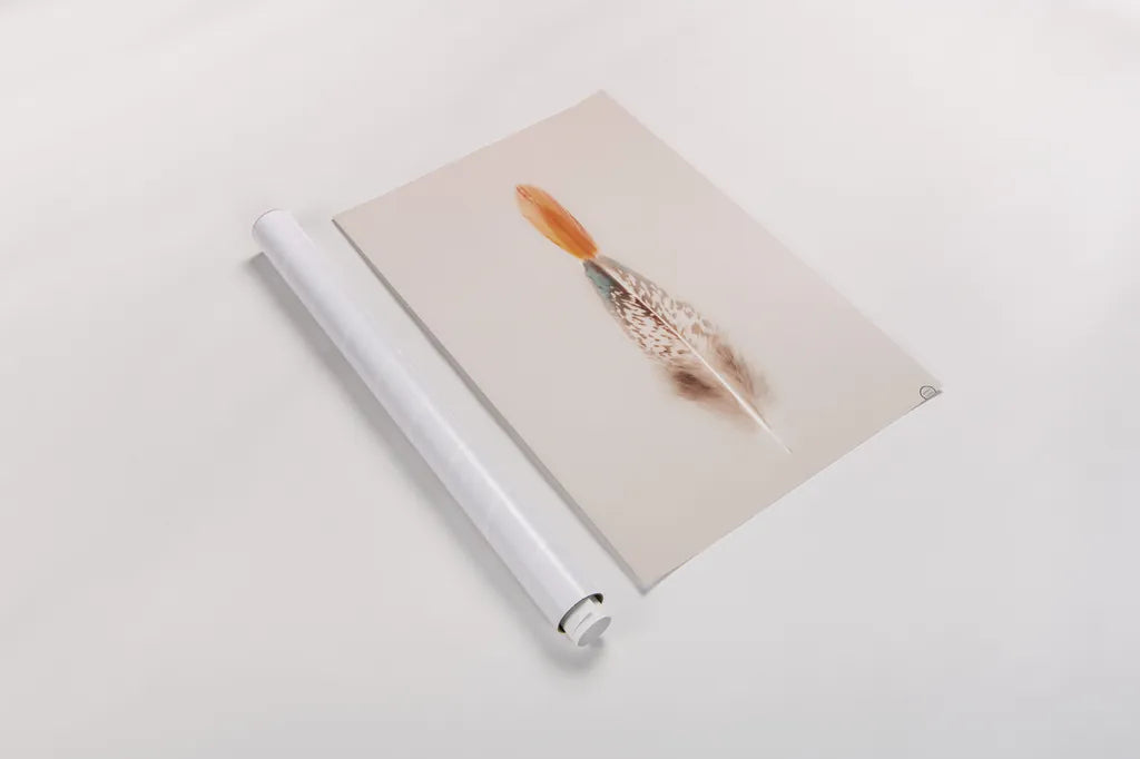 Floating Feathers I by Nathan Larson. shown as a rolled paper print. Available as archival giclee rolled canvas, fine art paper, or poster print. SKU 71168h.
