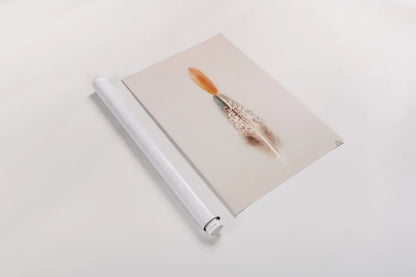 Floating Feathers I by Nathan Larson. shown as a rolled paper print. Available as archival giclee rolled canvas, fine art paper, or poster print. SKU 71168h.