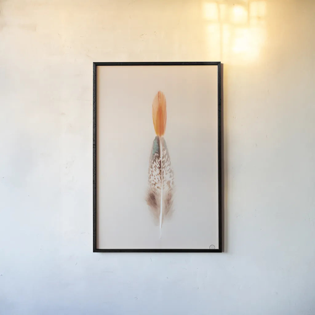 Floating Feathers I by Nathan Larson. shown as a paper print in a black flame. Available as a archival giclee rolled canvas, fine art paper, or poster print. SKU 71168h.