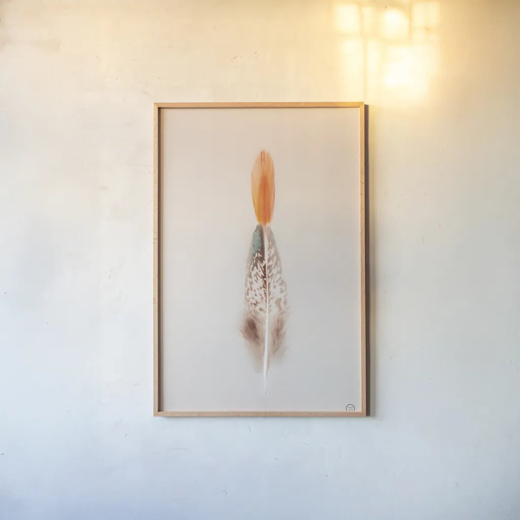Floating Feathers I by Nathan Larson. shown as a paper print in a natural frame. Available as a archival giclee rolled canvas, fine art paper, or poster print. SKU 71168h.