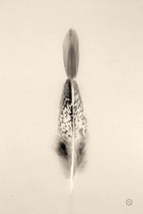 Floating Feathers I Sepia by Nathan Larson. SKU 74146h. Archival Giclee Fine art print for wall decor.
