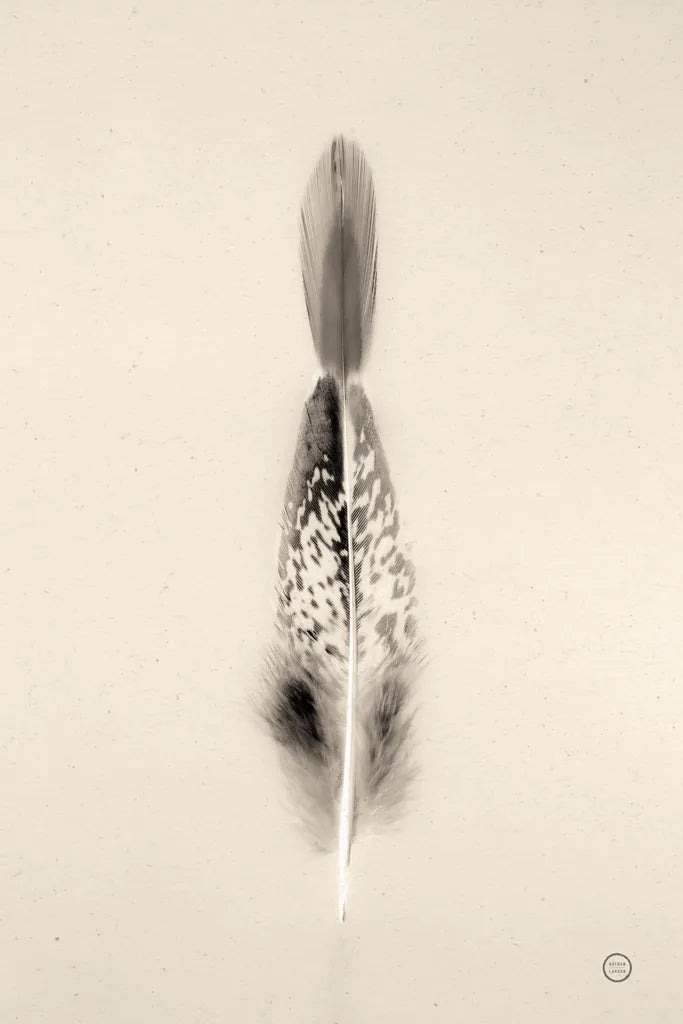 Floating Feathers I Sepia by Nathan Larson. SKU 74146h. Archival Giclee Fine art print for wall decor.