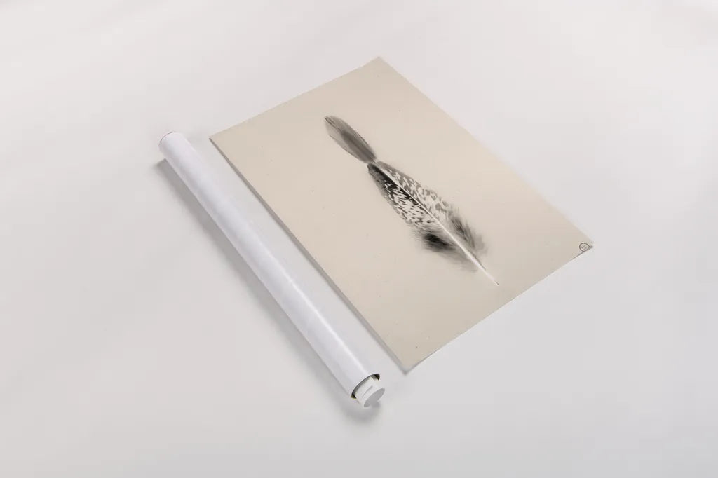 Floating Feathers I Sepia by Nathan Larson. shown as a rolled paper print. Available as archival giclee rolled canvas, fine art paper, or poster print. SKU 74146h.