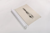 Floating Feathers I Sepia by Nathan Larson. shown as a rolled paper print. Available as archival giclee rolled canvas, fine art paper, or poster print. SKU 74146h.