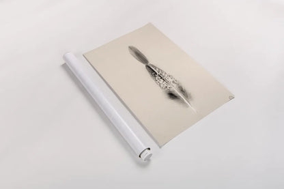 Floating Feathers I Sepia by Nathan Larson. shown as a rolled paper print. Available as archival giclee rolled canvas, fine art paper, or poster print. SKU 74146h.