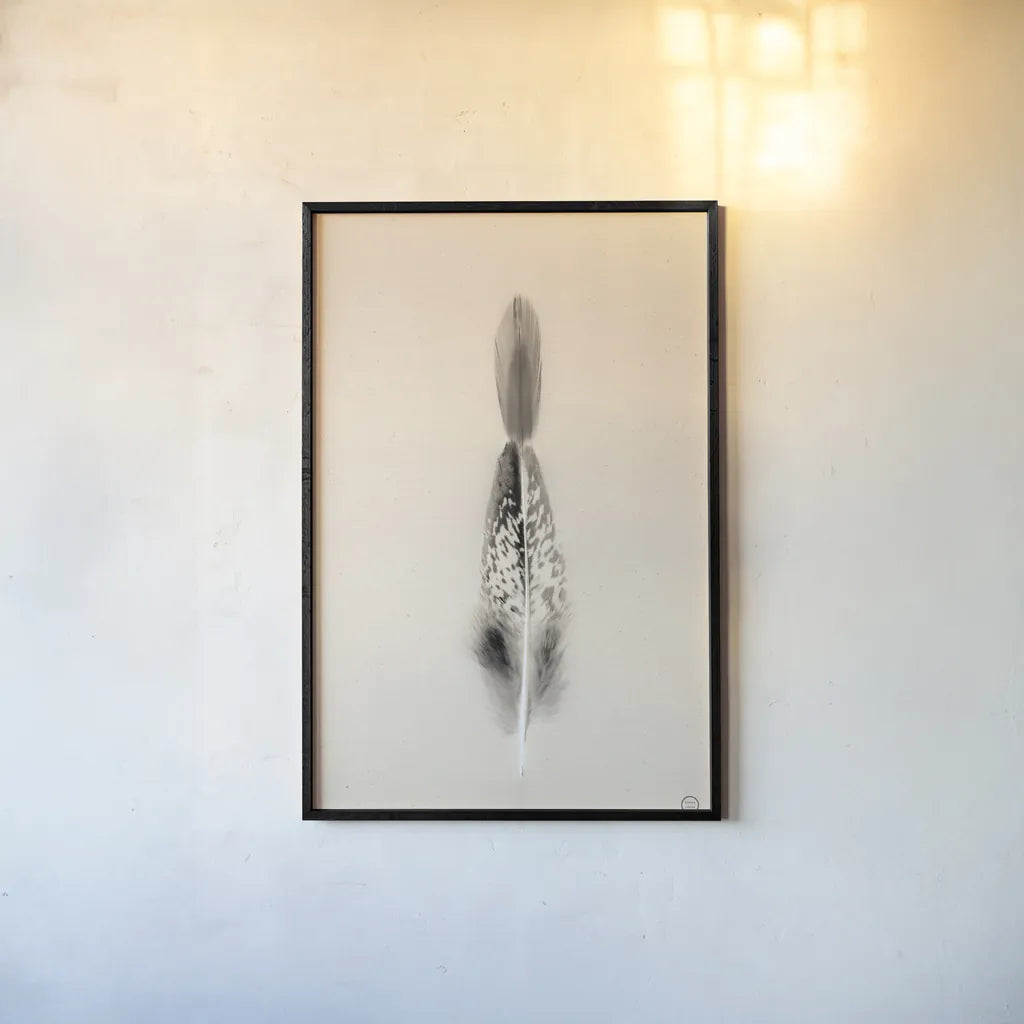 Floating Feathers I Sepia by Nathan Larson. shown as a paper print in a black flame. Available as a archival giclee rolled canvas, fine art paper, or poster print. SKU 74146h.