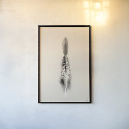 Floating Feathers I Sepia by Nathan Larson. shown as a paper print in a black flame. Available as a archival giclee rolled canvas, fine art paper, or poster print. SKU 74146h.