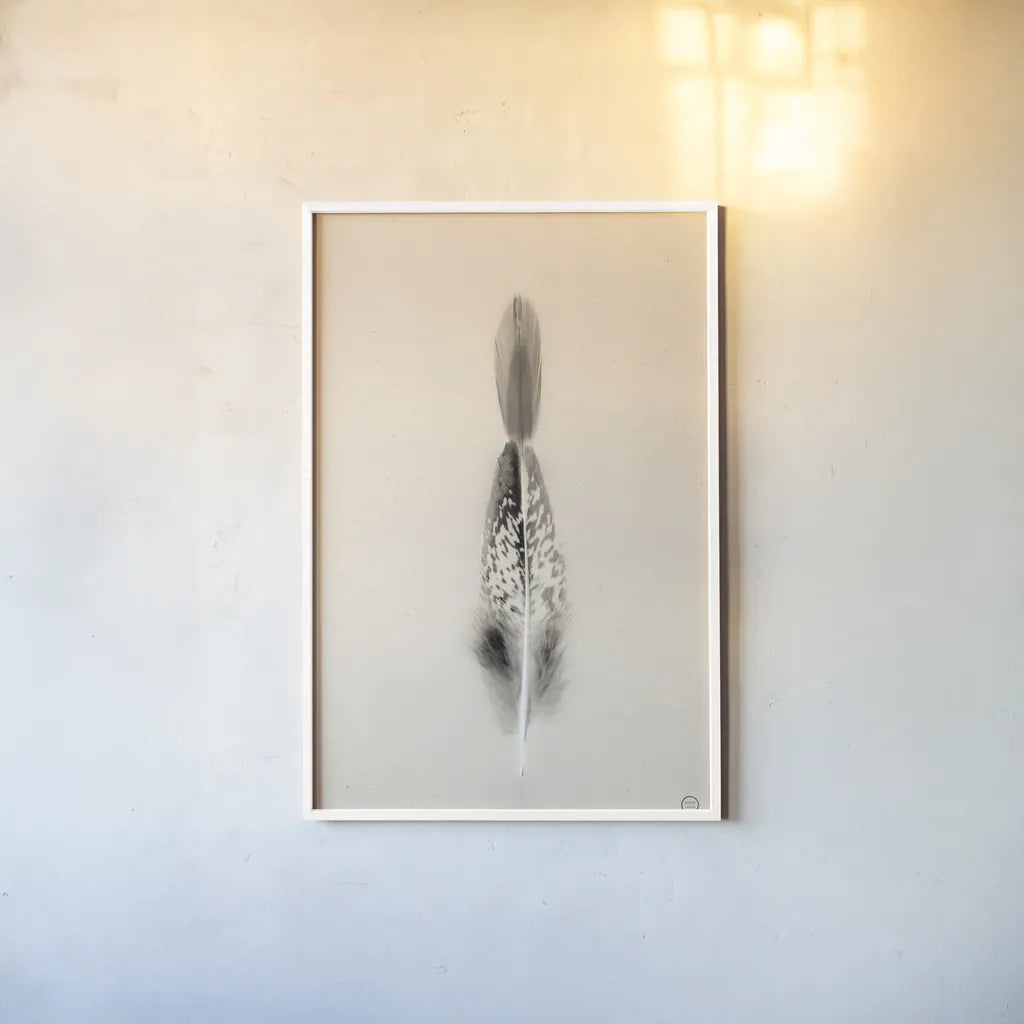 Floating Feathers I Sepia by Nathan Larson. shown as a paper print in a white frame. Available as a archival giclee rolled canvas, fine art paper, or poster print. SKU 74146h.