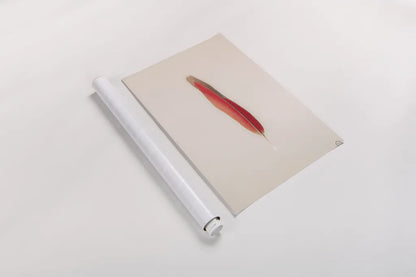 Floating Feathers II by Nathan Larson. shown as a rolled paper print. Available as archival giclee rolled canvas, fine art paper, or poster print. SKU 71169h.