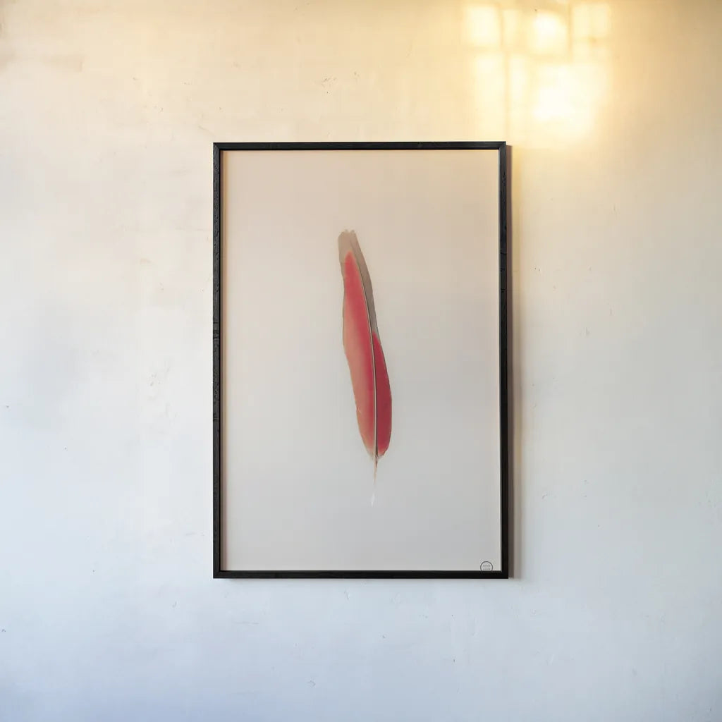 Floating Feathers II by Nathan Larson. shown as a paper print in a black flame. Available as a archival giclee rolled canvas, fine art paper, or poster print. SKU 71169h.